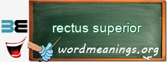 WordMeaning blackboard for rectus superior